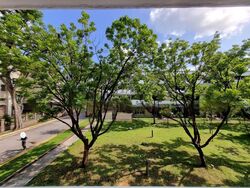 Dunearn Road (D11), Condominium #498850141